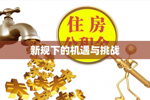 蠡县新规下的机遇与挑战