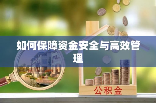 蠡县如何保障资金安全与高效管理
