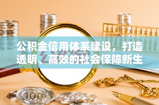 蠡县公积金信用体系建设，打造透明、高效的社会保障新生态