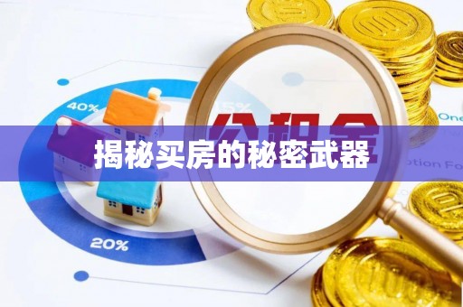 蠡县揭秘买房的秘密武器