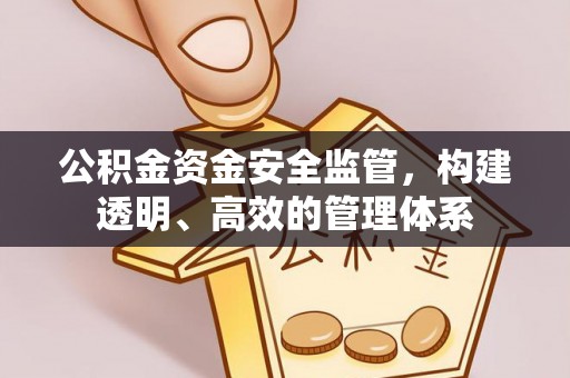 蠡县公积金资金安全监管，构建透明、高效的管理体系