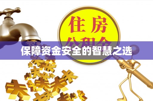 蠡县保障资金安全的智慧之选