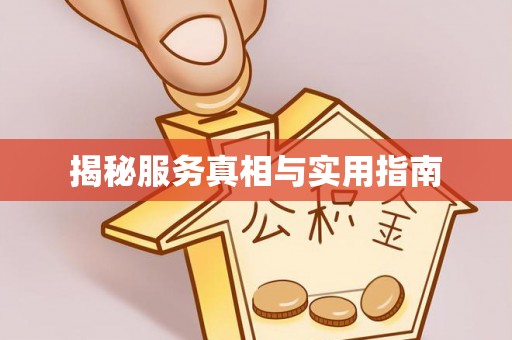 蠡县揭秘服务真相与实用指南