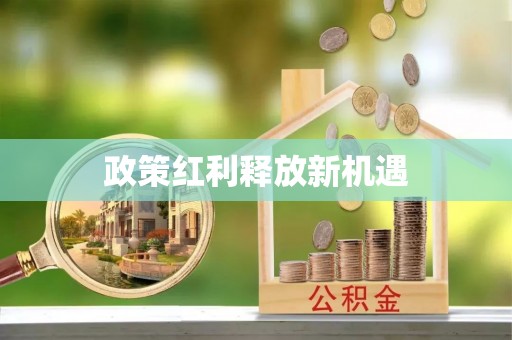 蠡县政策红利释放新机遇