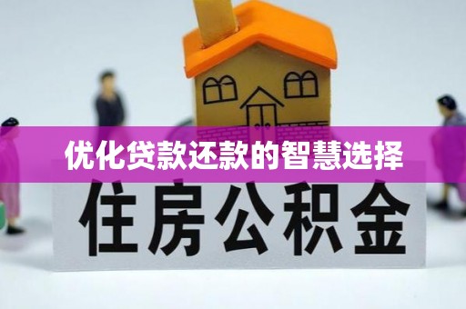 蠡县优化贷款还款的智慧选择