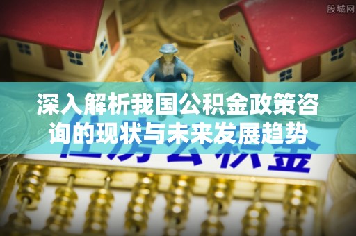 蠡县深入解析我国公积金政策咨询的现状与未来发展趋势