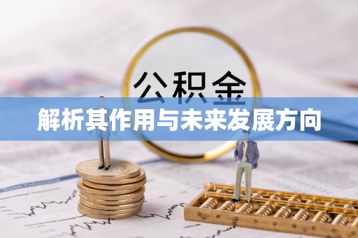 蠡县解析其作用与未来发展方向
