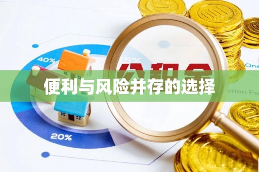 蠡县便利与风险并存的选择